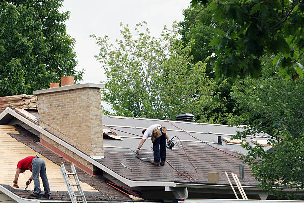 Best New Roof Installation  in Elk Ridge, UT