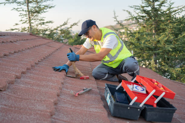 Best Roof Gutter Cleaning  in Elk Ridge, UT