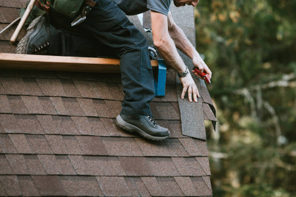 Best Roof Maintenance Services  in Elk Ridge, UT